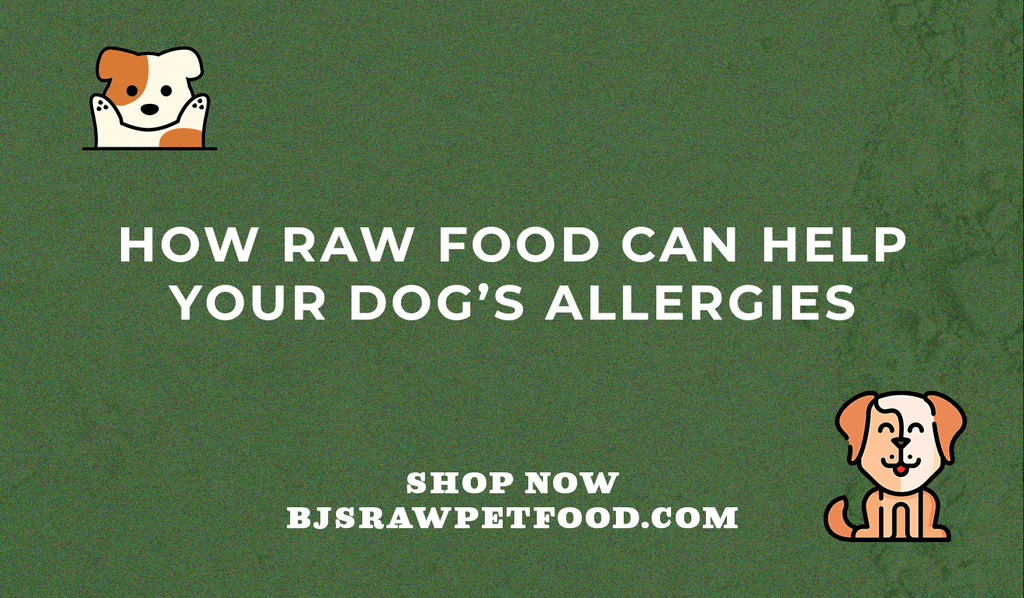 Is Raw Food Good for Dogs With Skin Allergies? Expert Insights