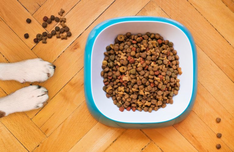 Performatrin small breed deals dog food