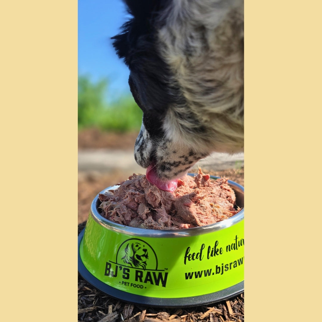 Rabbit and Salmon Mix