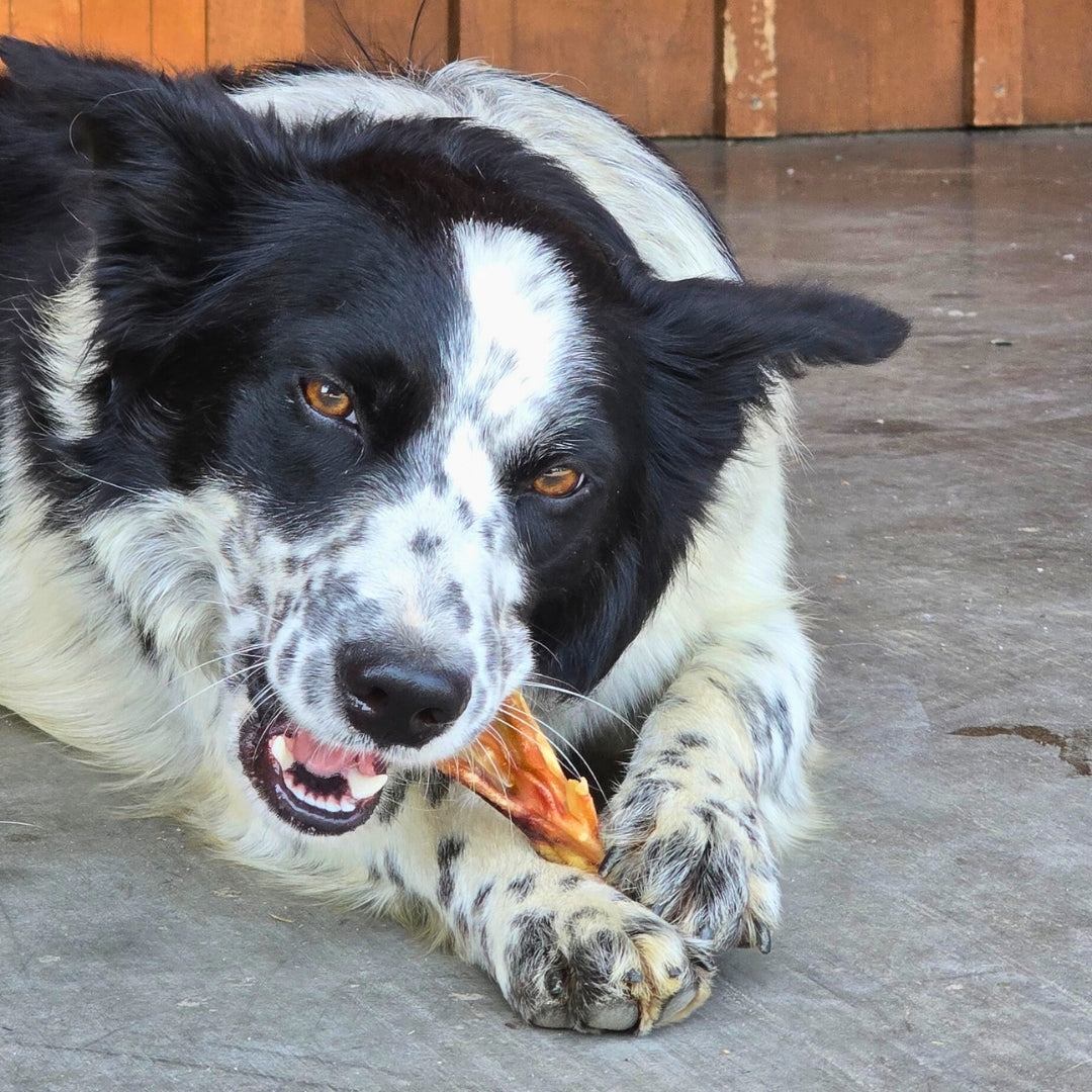 Dehydrated Duck Feet