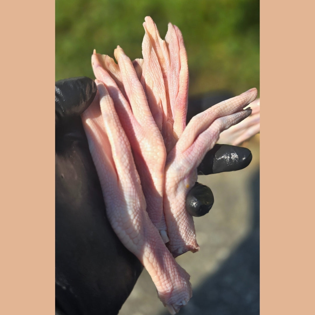 Duck Feet