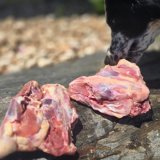 Chicken Backs