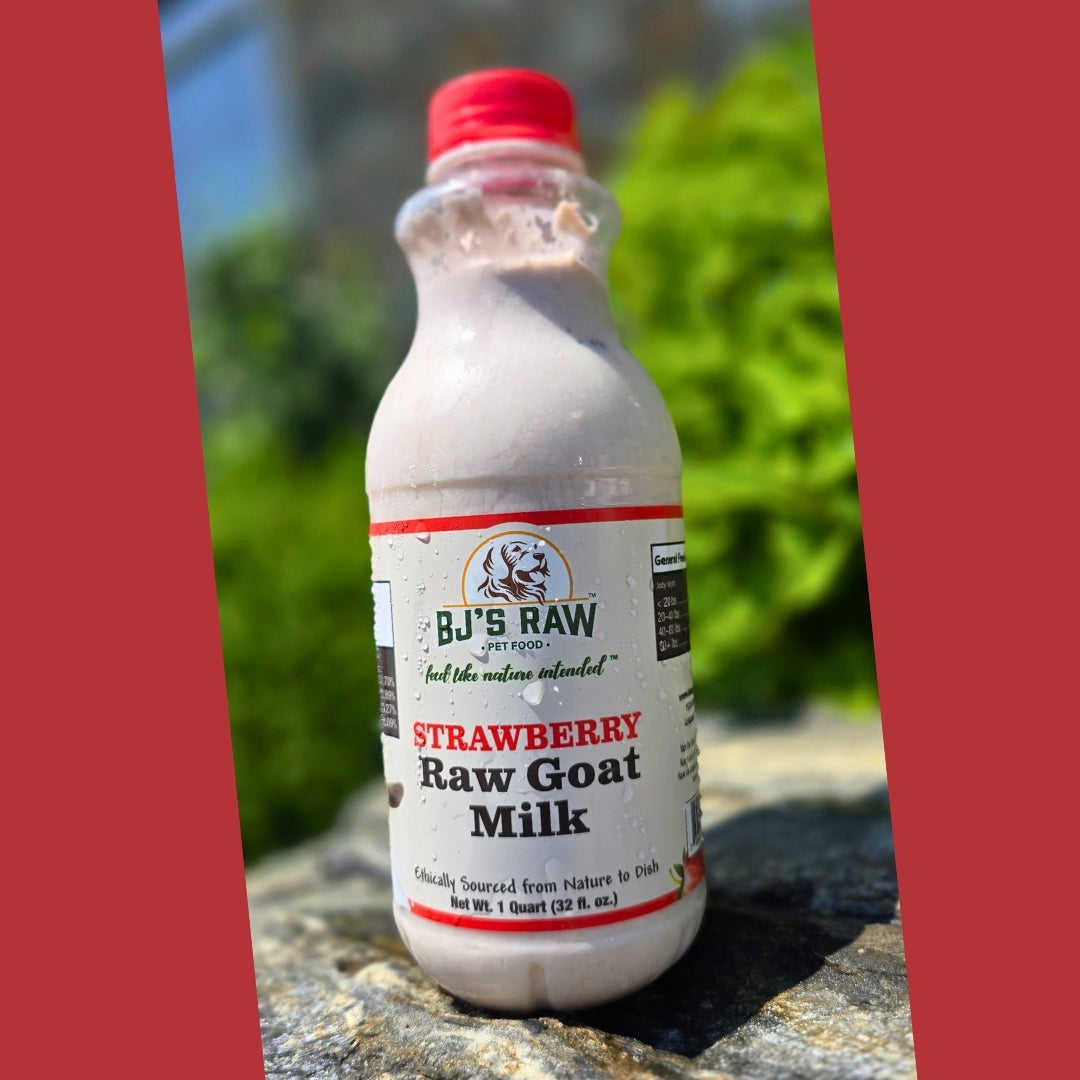 Blueberry, Strawberry & Protein+ <br> Raw Goat Milk