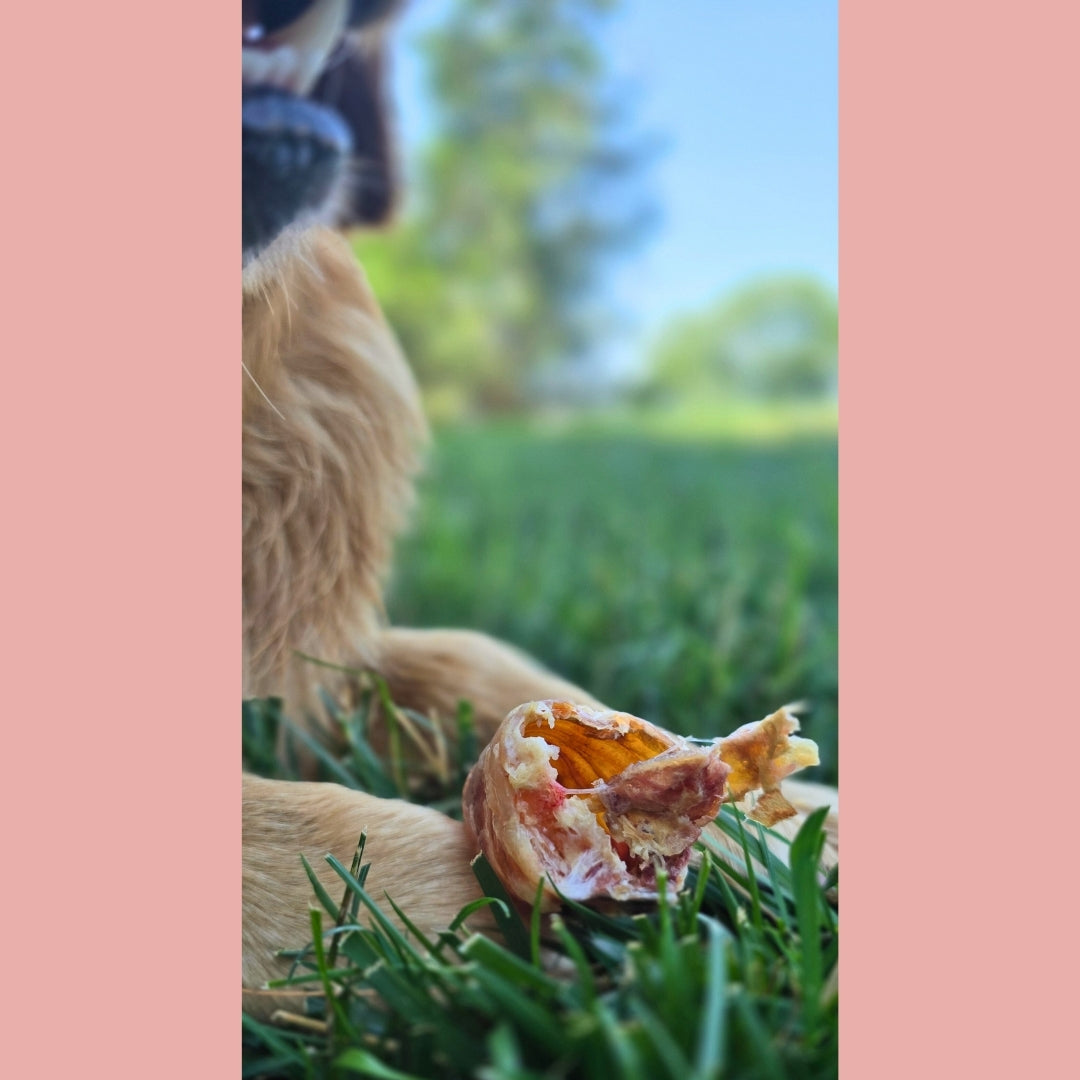 Dried Beef Trachea