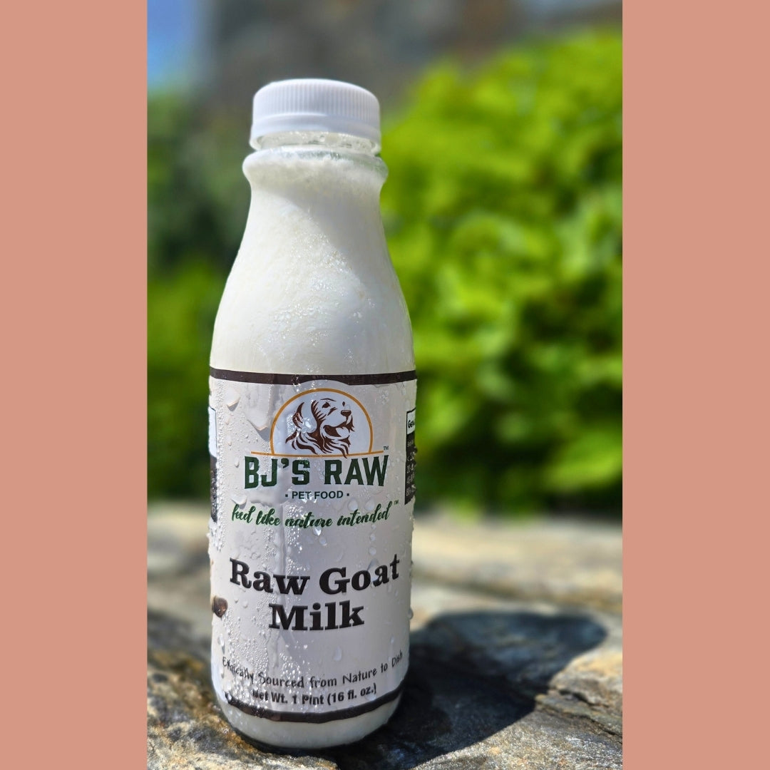 Raw Goat Milk