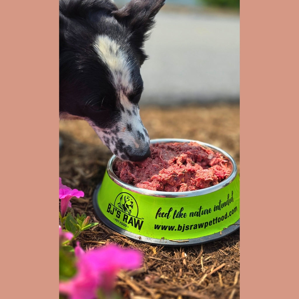 Ultimate Mix Best Fresh Dog Food Cat Food Blend