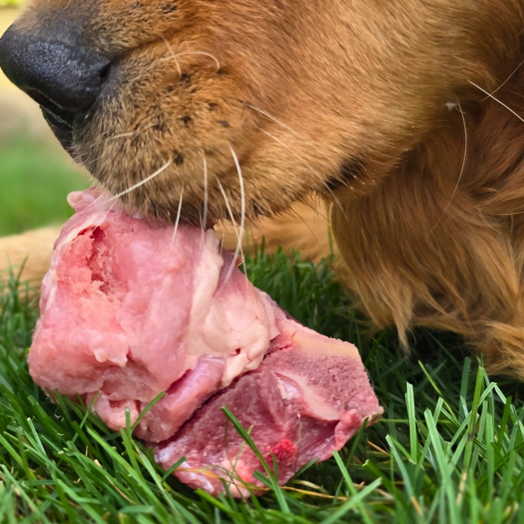 Meaty Calf Bones
