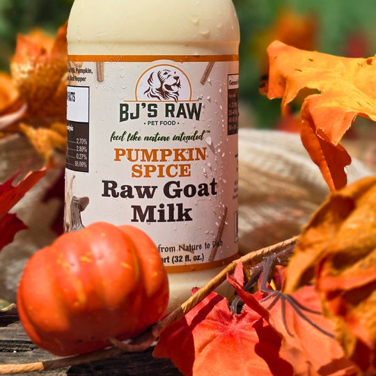 Pumpkin Spice Raw Goat Milk