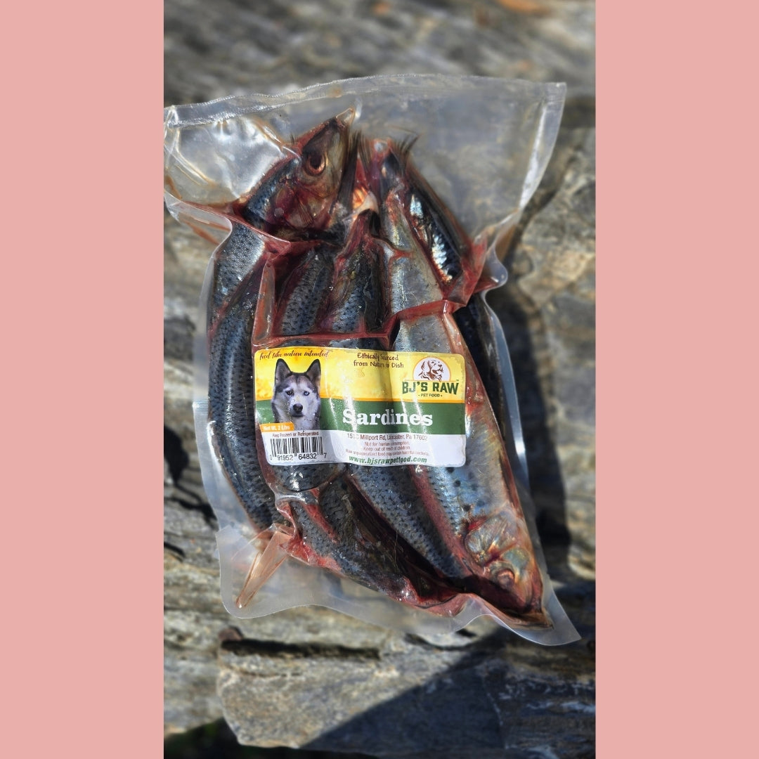 Sardines
