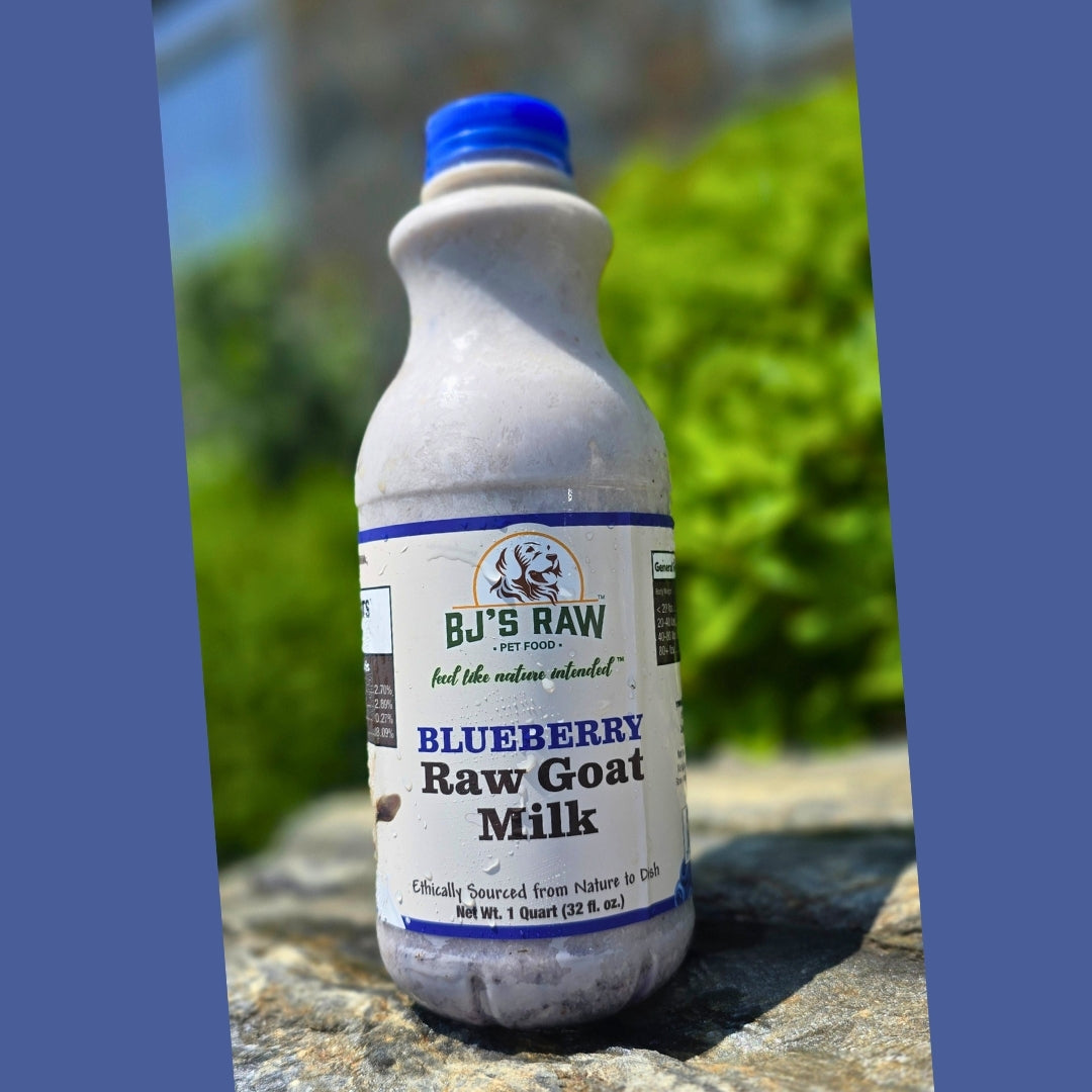 Blueberry, Strawberry & Protein+ <br> Raw Goat Milk