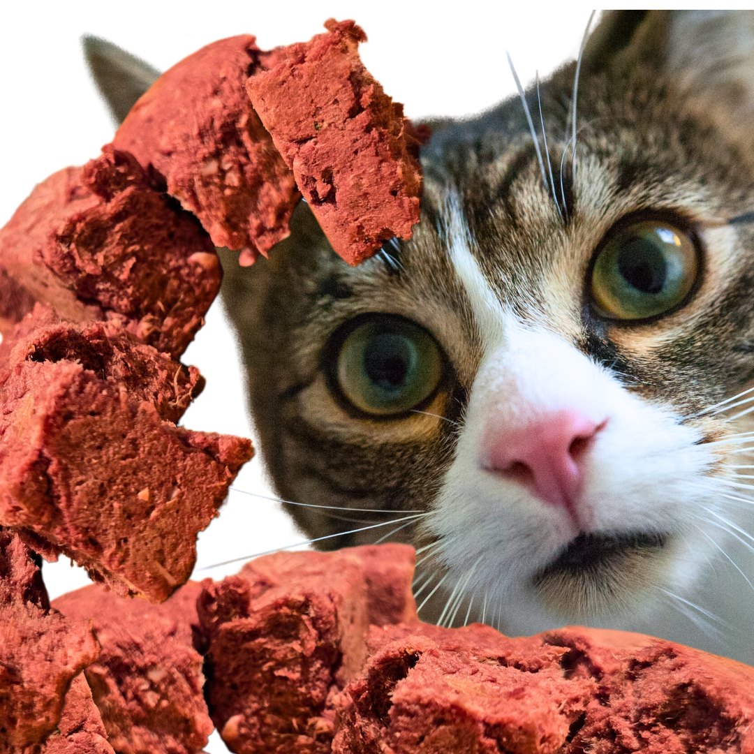 Freeze Dried Premium Cat Mix