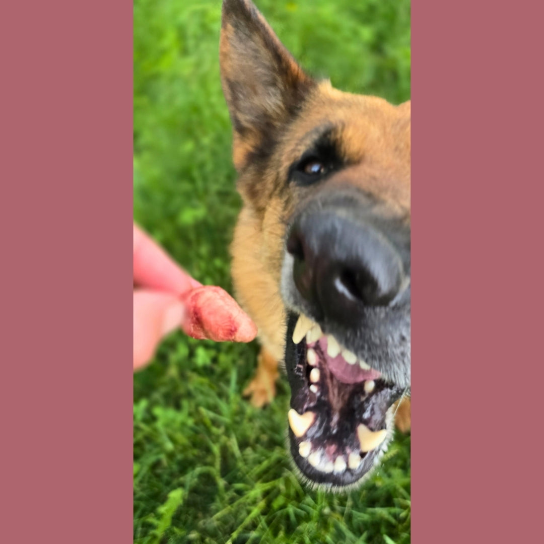 Freeze Dried Chicken Heart Treat