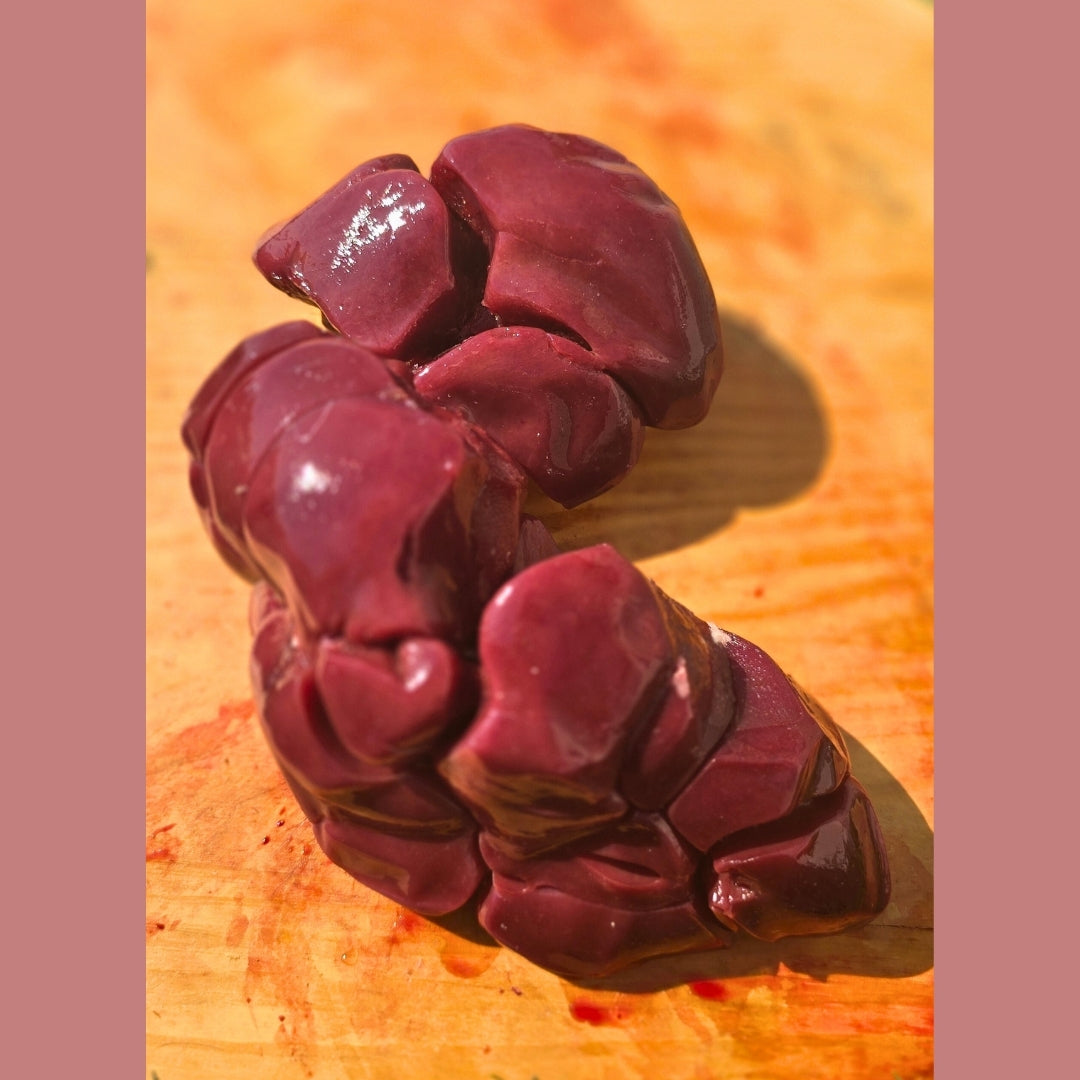 Beef Kidney  (Whole)