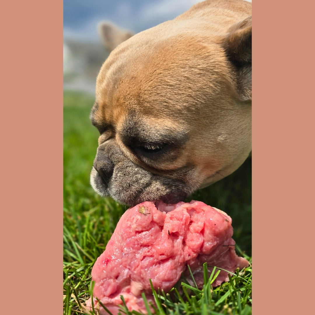 Meaty Calf Bones