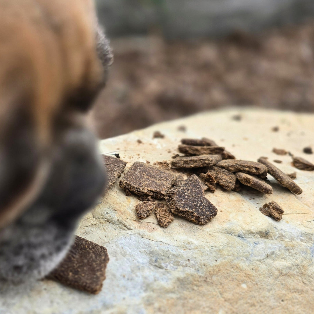 Earth Animal Jerky | From The Soil