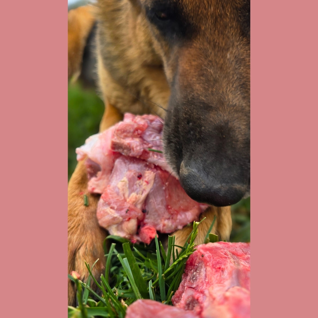 Meaty Calf Bones