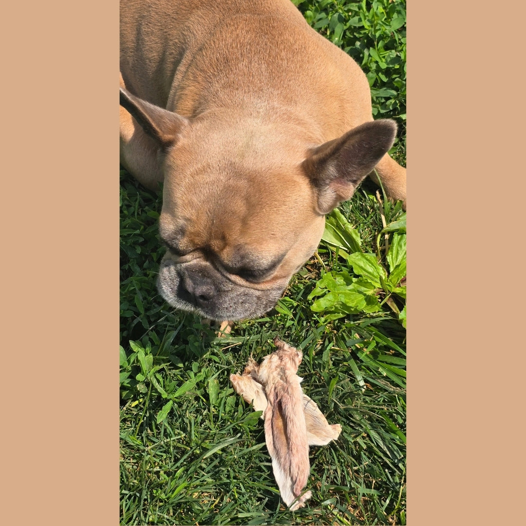 Dehydrated Rabbit Ears