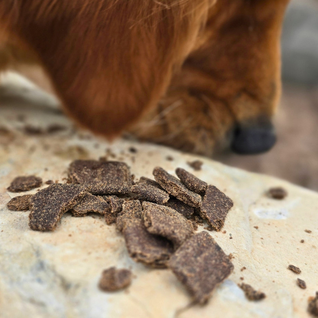 Earth Animal Jerky | From The Soil