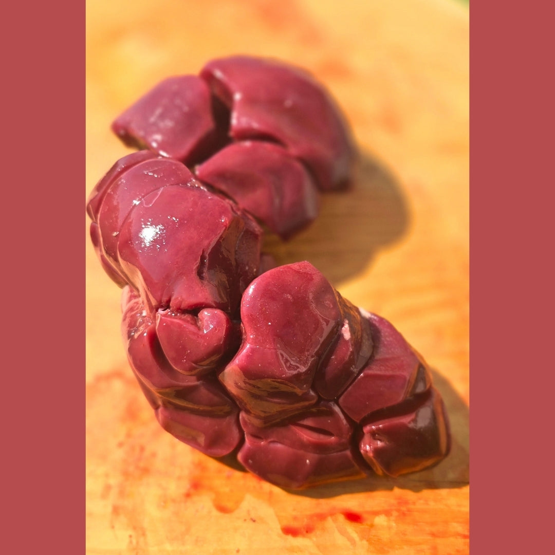 Beef Kidney  (Whole)