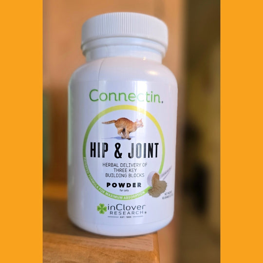 Connectin Feline Joint Supplement Powder