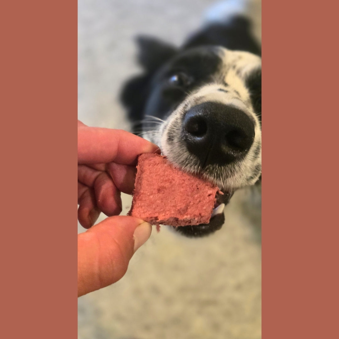 Freeze-Dried Beef Heart