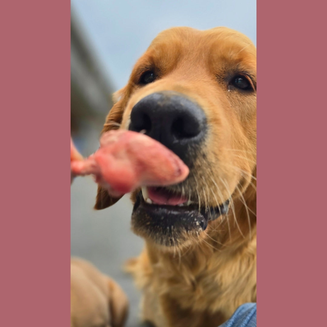 Freeze Dried Chicken Heart Treat