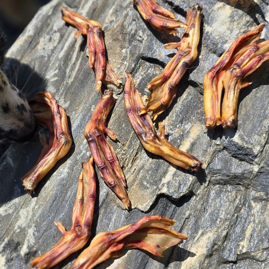 Dehydrated Duck Feet