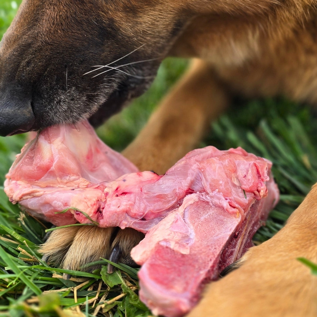 Meaty Calf Bones