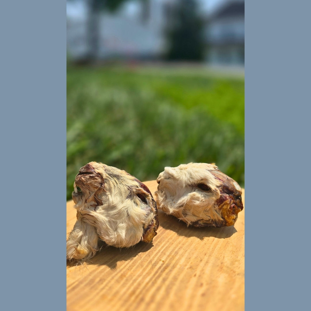 Dehydrated Rabbit Heads