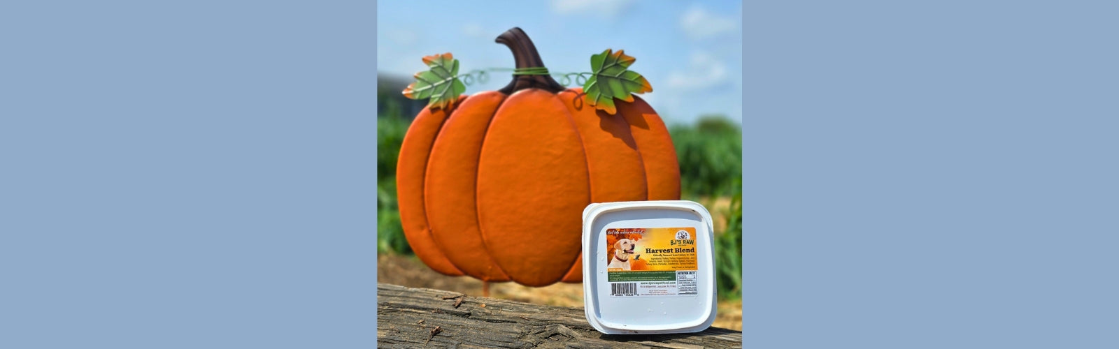 Harvest Blend is Back!