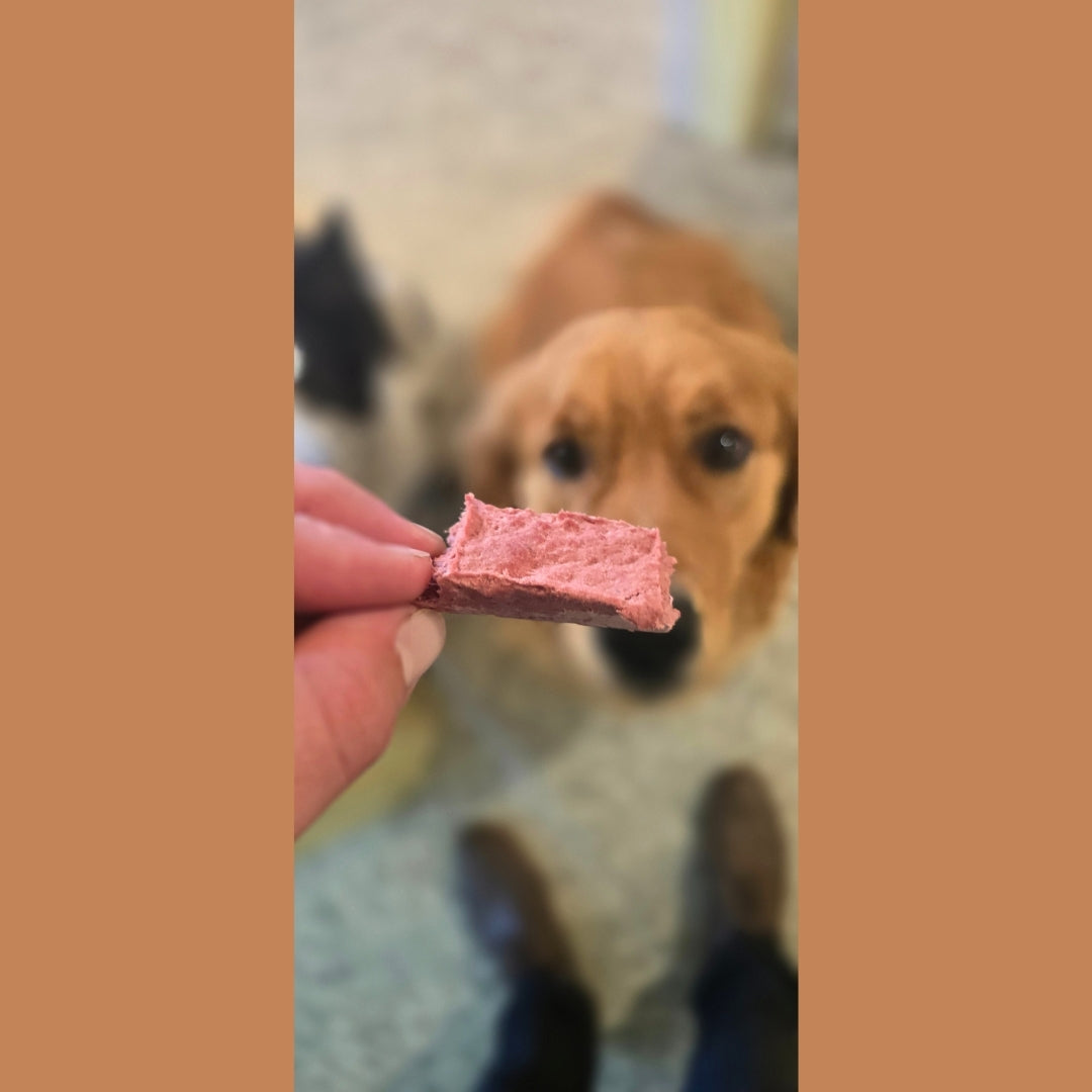 Freeze-Dried Beef Heart