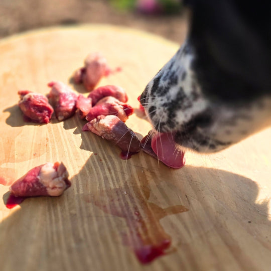 Chicken Hearts