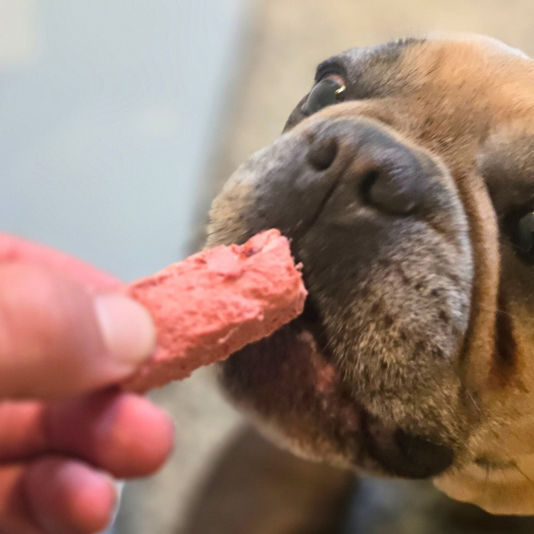 Freeze-Dried Beef Heart