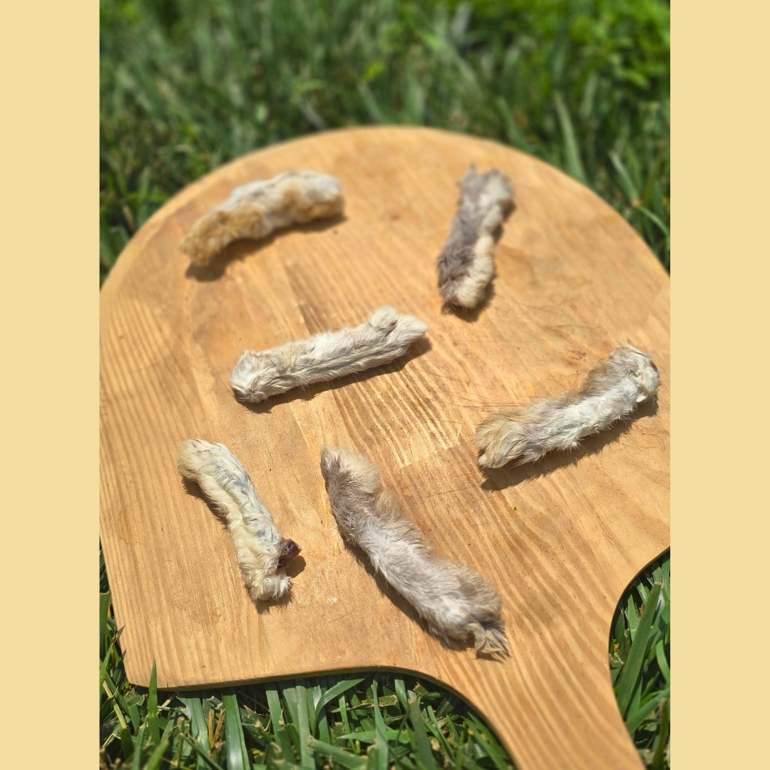 Dehydrated Rabbit Feet