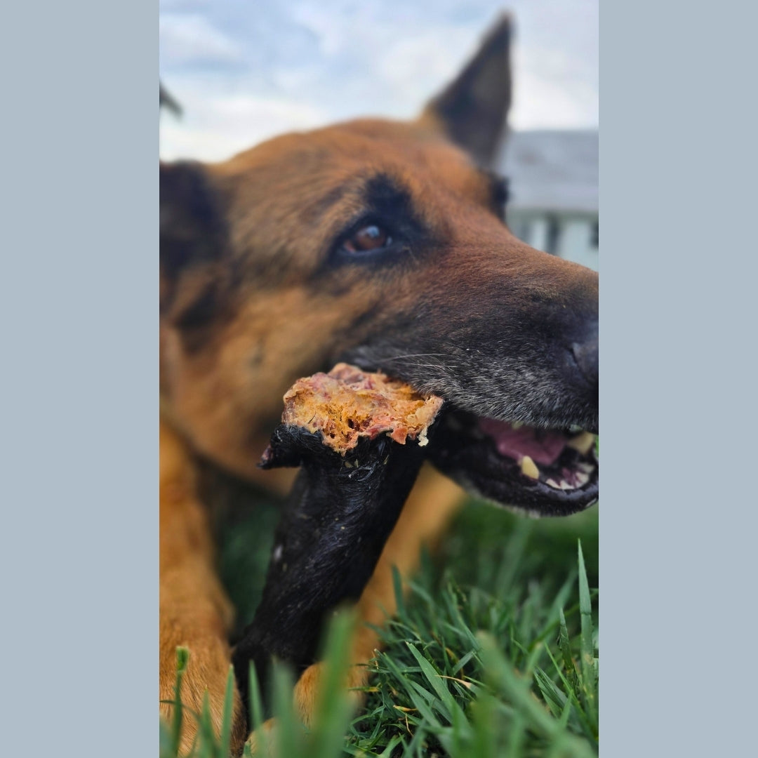 Dehydrated Cow Ears