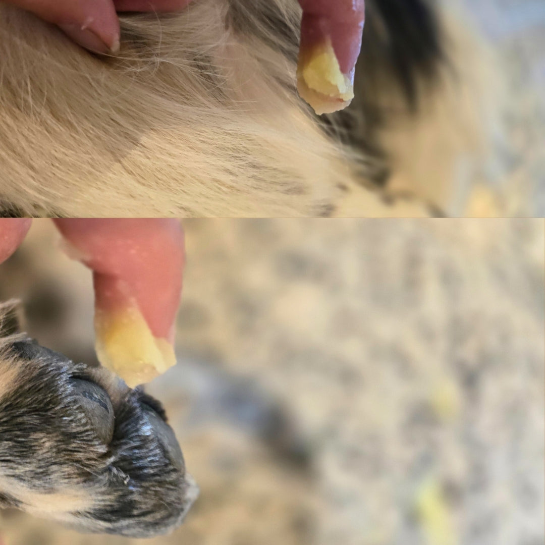 Earth Animal Skin Relief Balm