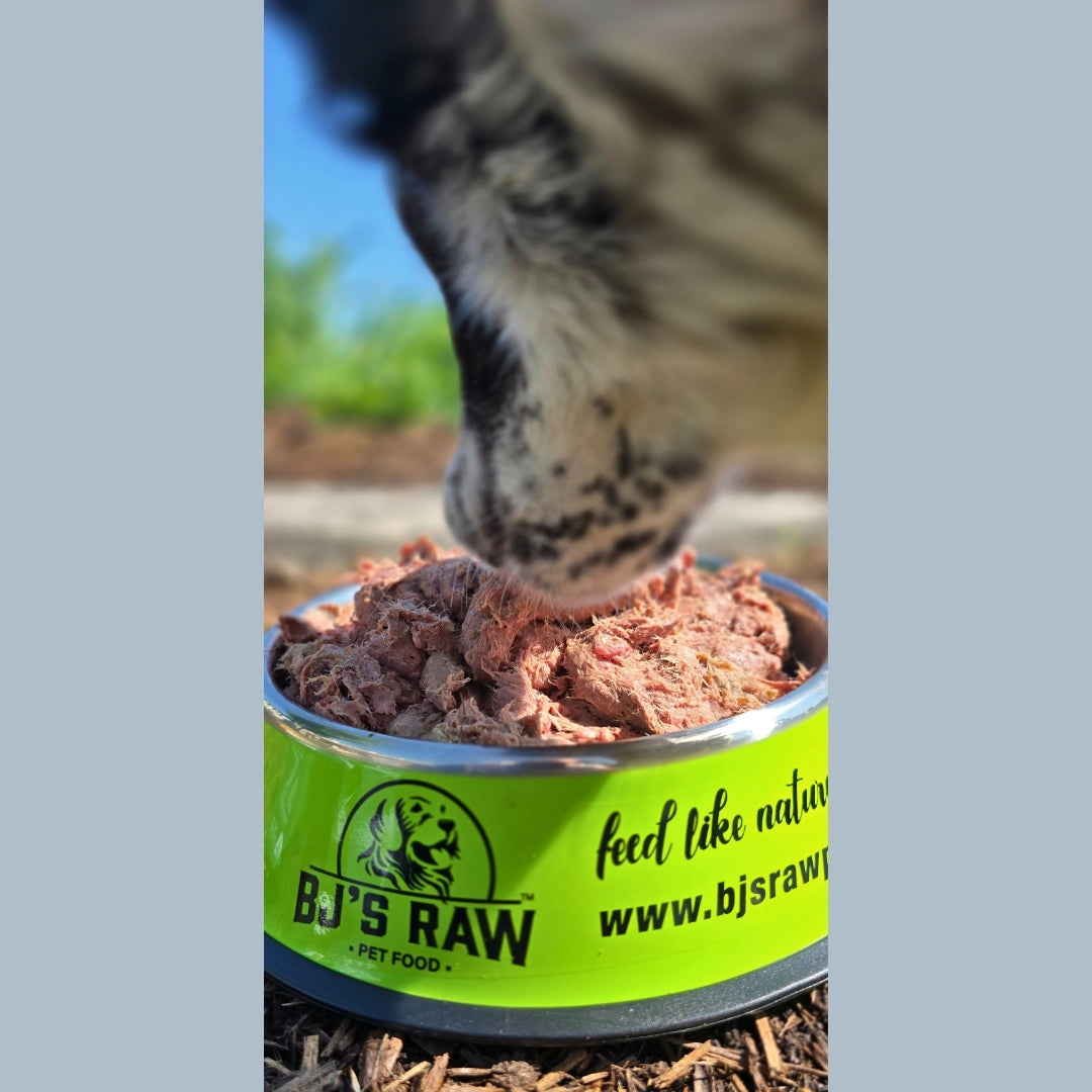 Rabbit and Salmon Mix