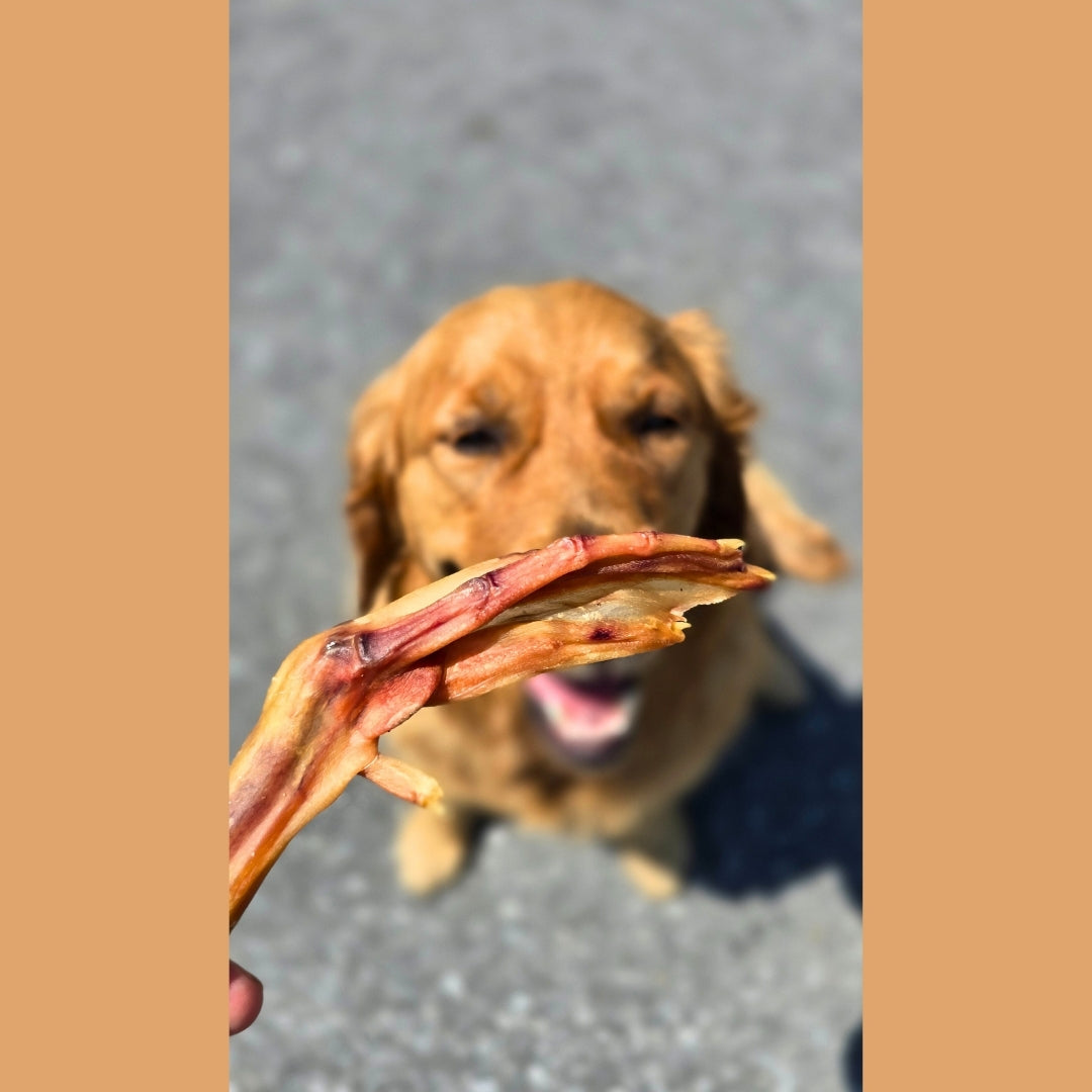 Dehydrated Duck Feet
