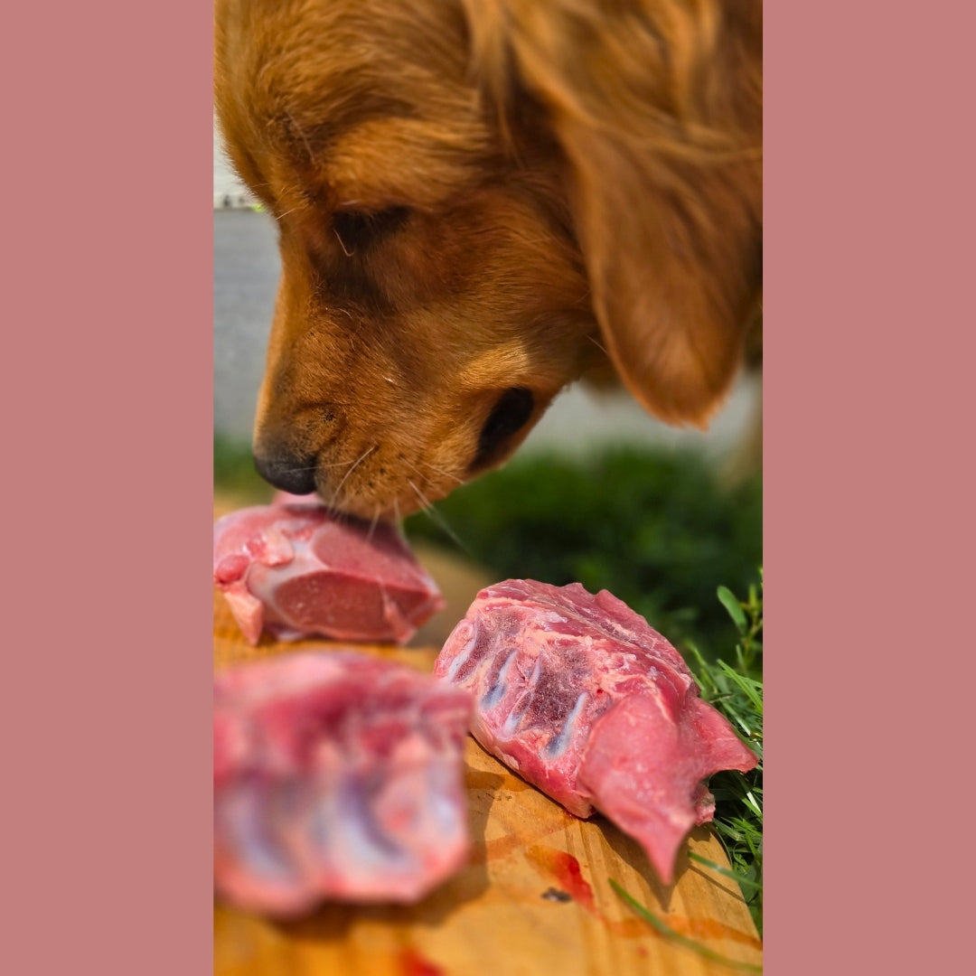 Meaty Calf Bones