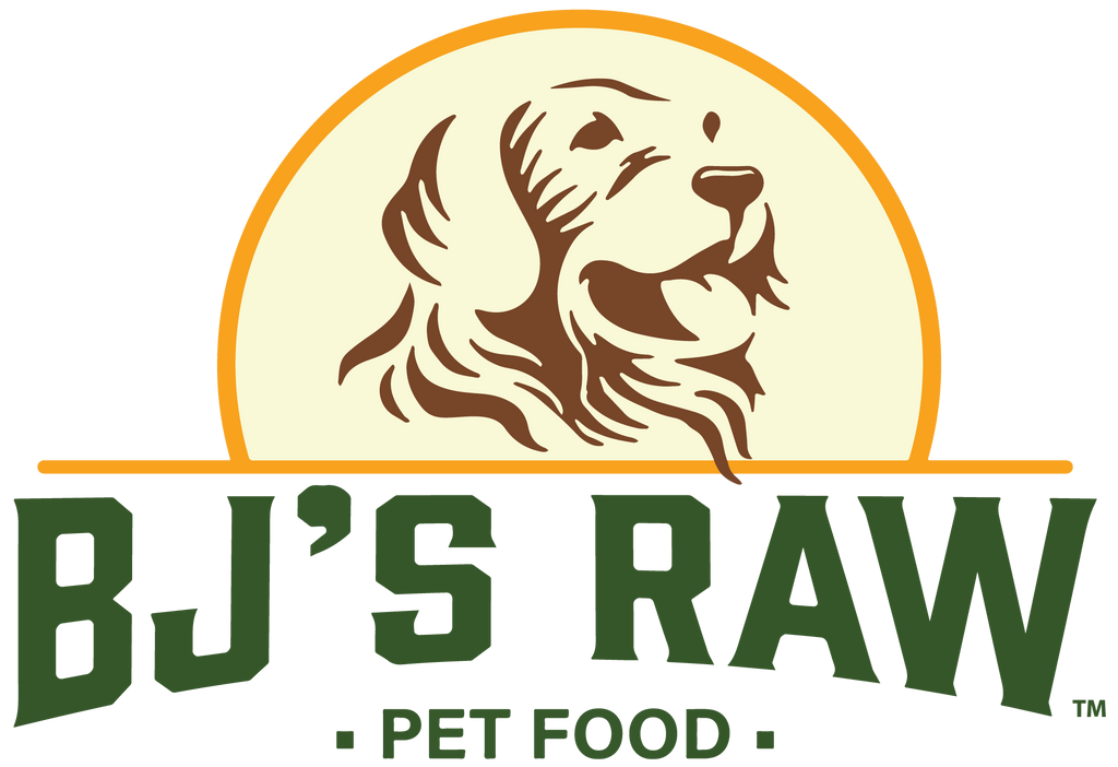 Raw pet food delivery new arrivals
