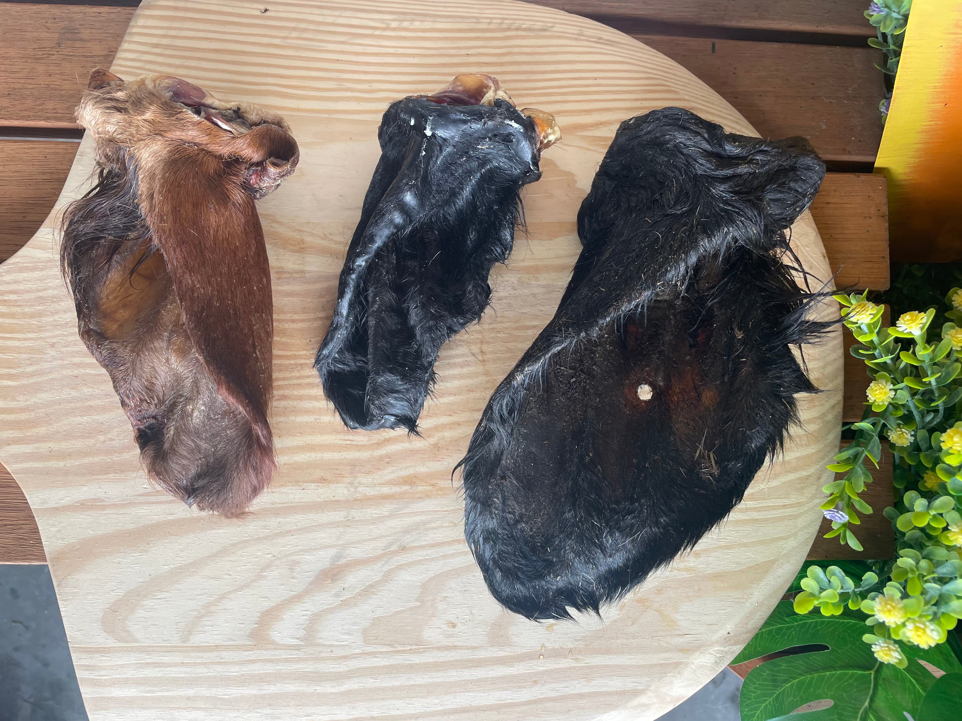 Dehydrated Cow Ears