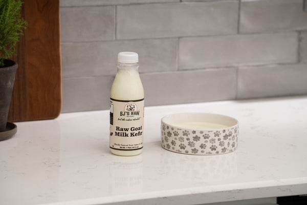 BJ's Kefir Goat Milk probiotic drink for dogs and cats
