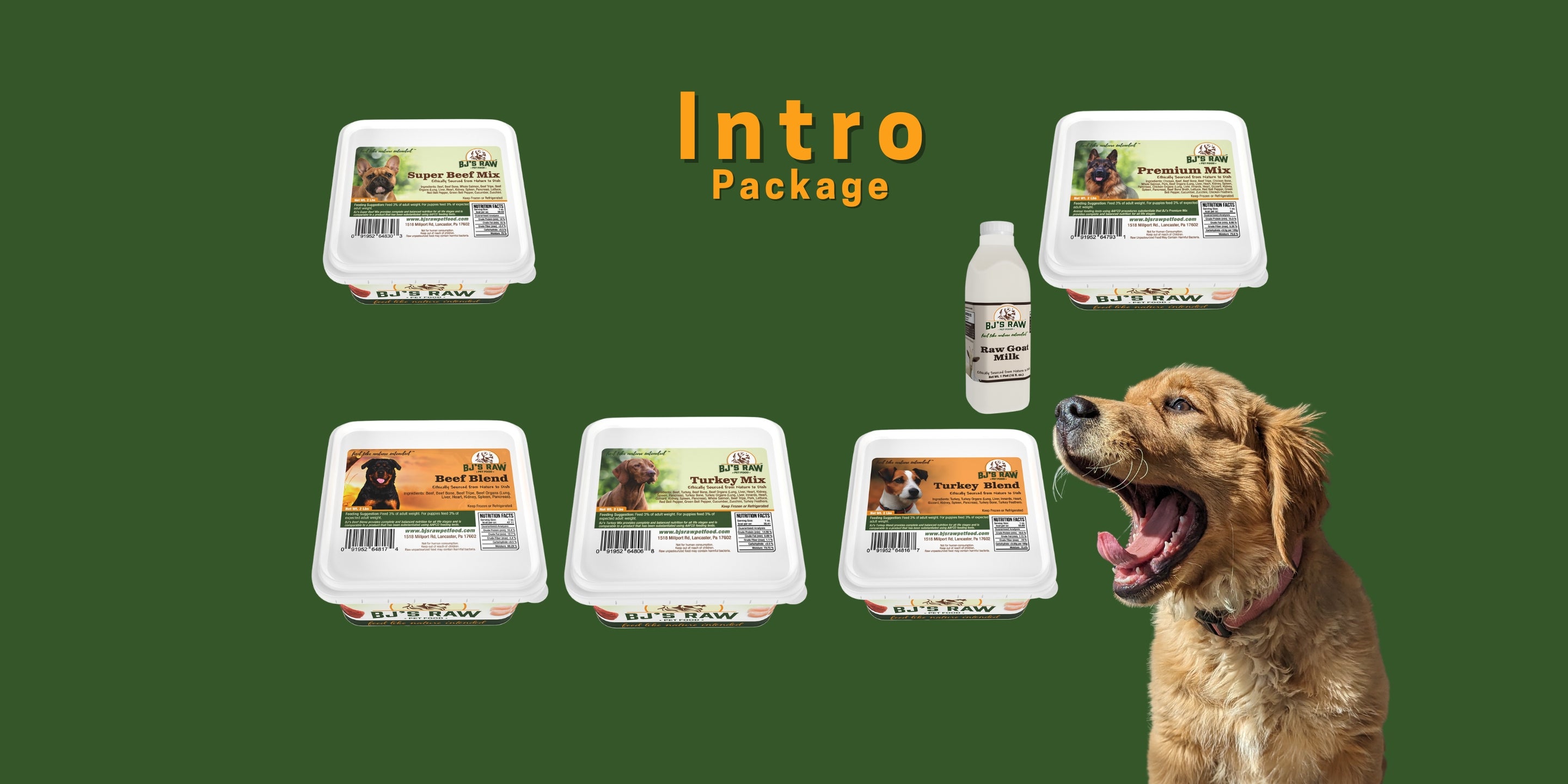Be Your Dog's Hero!
