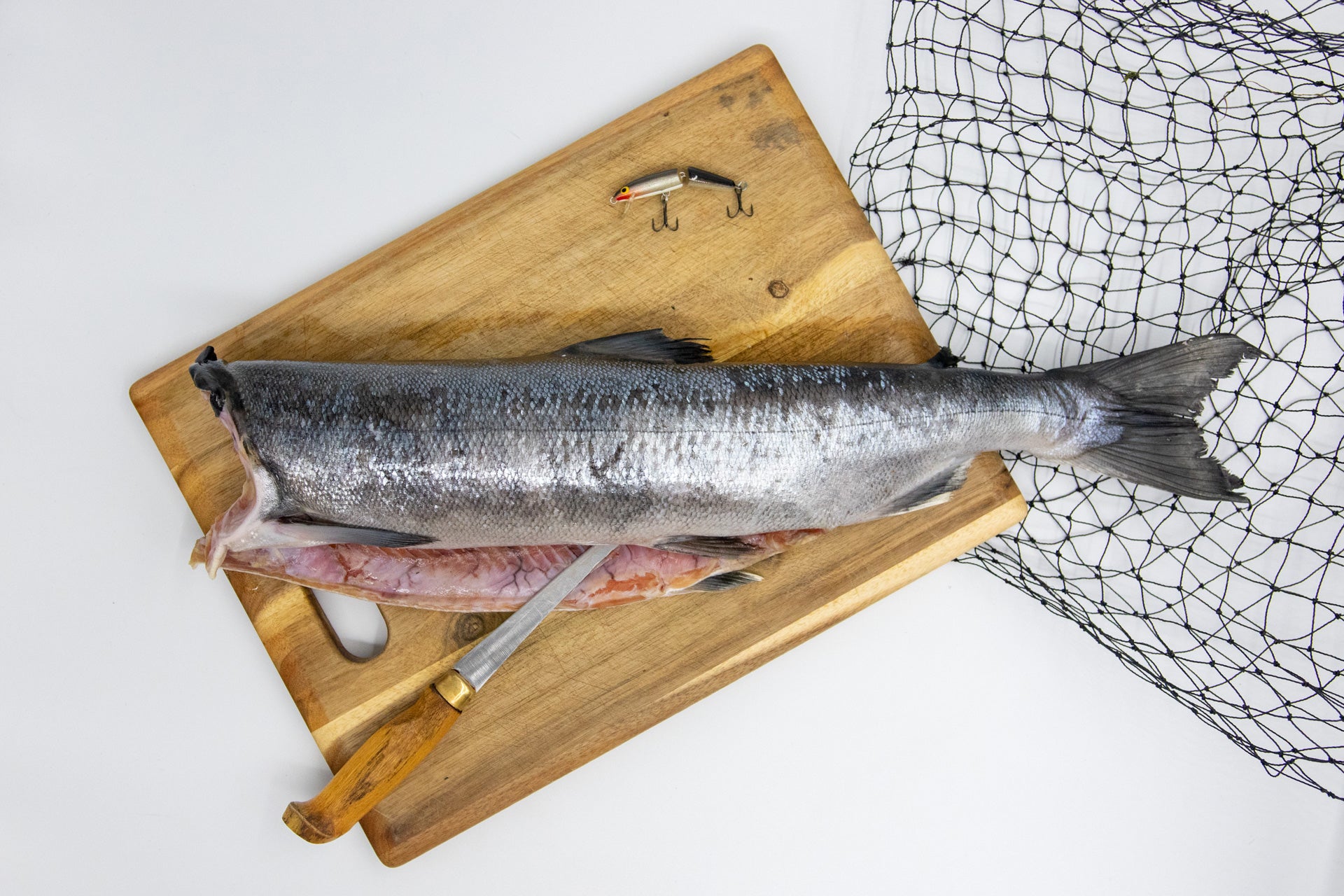 salmon 2