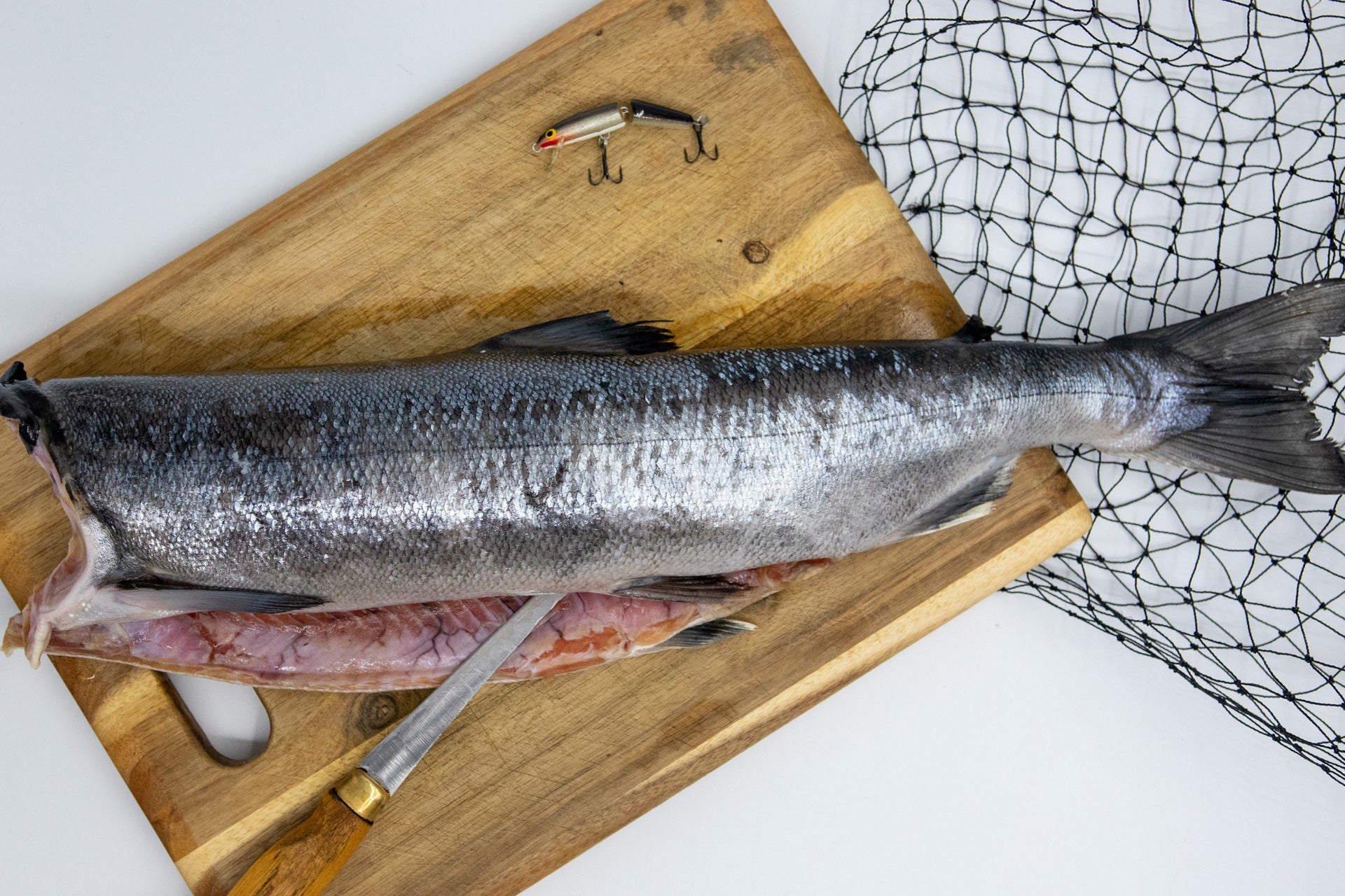 Wild Caught Alaskan Salmon