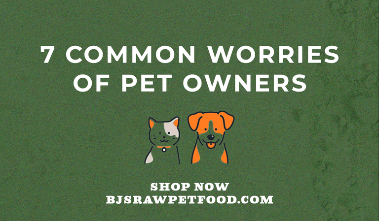 7 Common Worries of Pet Owners