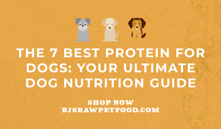 The 7 Best Proteins For Dogs: Your Ultimate Dog Nutrition Guide