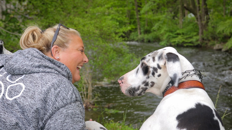 Best Dog Food<br>Dog Nutritionist Explains