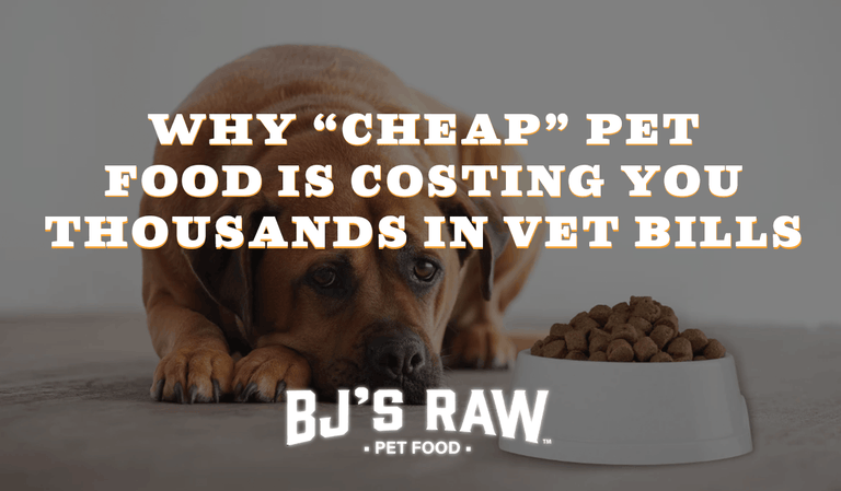 The Kibble Tax: Raw Dog Food vs. Kibble Cost Comparison