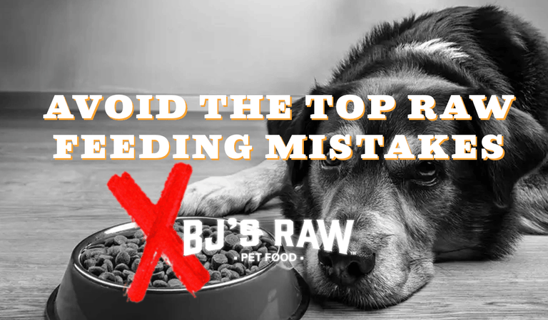 Avoiding the Top Raw Feeding Mistakes: How to Provide 